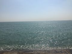 -旅马餐厅(茅家埠店)