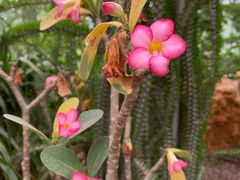 -南通洲际绿博园