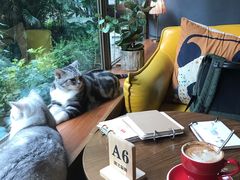 -咖法森林·咖啡  酒吧(天河店)