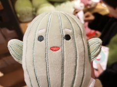 -九木杂物社(恒隆广场店)