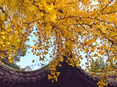 -无锡惠山寺