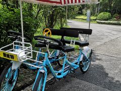 -福建鲤鱼洲酒店