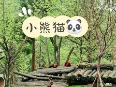 -都江堰中华大熊猫苑
