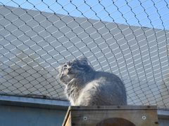 -青藏高原野生动物园