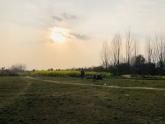 -两河城市森林公园