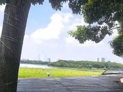 -海珠湖公园