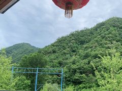 -牛背梁国家森林公园