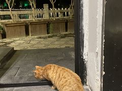 -聚汇三少·龙虾·中餐厅(莫邪路新天地店)