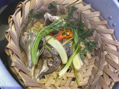 -千岛蚝高压锅生蚝·人参火锅(白云万达店)