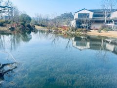 -雅达·阳羡溪山小镇中心