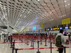 -郑州新郑国际机场-T2航站楼