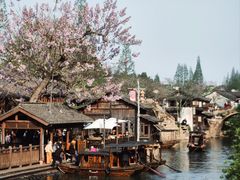 -乌镇西栅景区