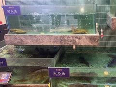 -鱼你相聚·河鲜馆(袁家岭店)