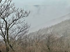 -湖州龙王山景区