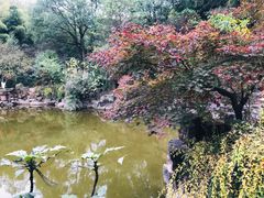 -穹窿山景区