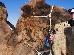 -库伦旗银沙湾旅游景区