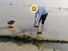 -北海金海湾红树林生态旅游区