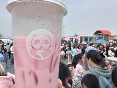 -荷兰花海