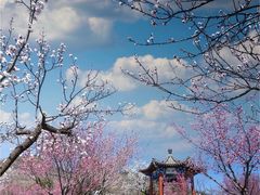 -北京西山国家森林公园