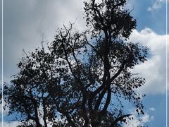 -丹山赤水风景名胜区
