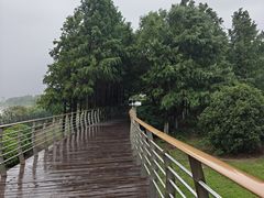 -江滩湿地公园