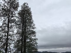 -东钱湖旅游度假区