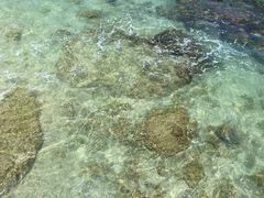 -三亚西岛海洋文化旅游区