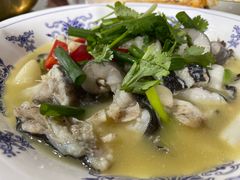 -陈胖子鱼庄(黄辣丁新津店)