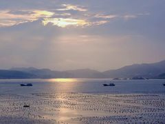 -枸杞岛