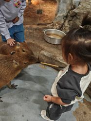 -Zoolung Zoolung动物主题公园(海信广场店)