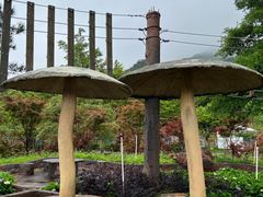 -牛鱼嘴原始生态风景区