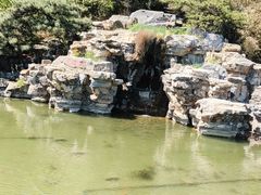 -香山公园