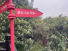 -九龙潭景区
