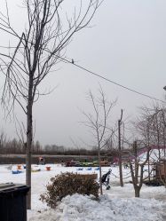 -优沃得自然教育农场·冰雪乐园·生日会·研学