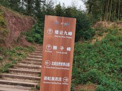 -缙云山景区