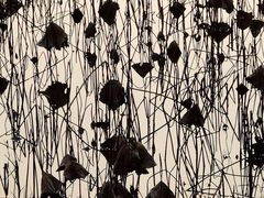 -福建鲤鱼洲酒店