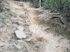 -杭州半山国家森林公园