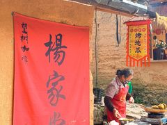 -杨家堂村