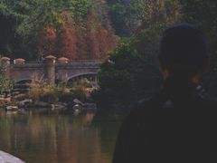 -云溪植物园