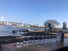 -台场海滨公园船码头