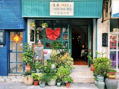 -溪岸路花鸟市场