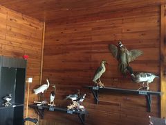 -南京金牛湖风景区