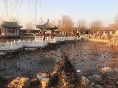 景点-纪晓岚文化园