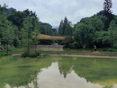 -云溪植物园