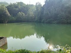 -中山市树木园
