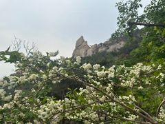 -崂山仰口游览区