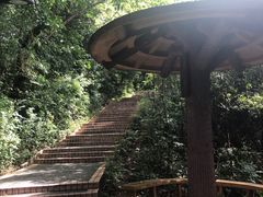 -广州市白云山风景名胜区