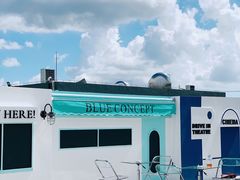 -Blue Concept Cafe&Farm·關於藍