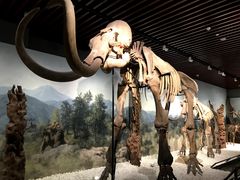 -南京维景国际大酒店(南京博物院店)