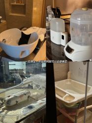 -巍阁高端月子会所